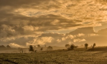 酒盒包装生产的旺季来临,新艺是如何应对的?